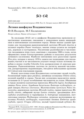 На жителя Владивостока свалился ястреб и расцарапал ему руки - KP.RU