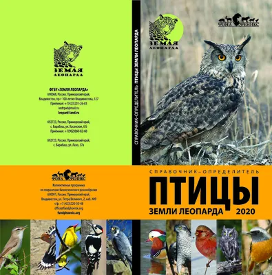 Фаунистические находки и новые сведения о редких и малоизученных видах птиц  в окрестностях залива Чайво (Северо-Восточный Сахалин) в 2004-2013 годах –  тема научной статьи по биологическим наукам читайте бесплатно текст  научно-исследовательской работы