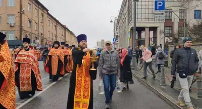 Летняя авифауна Владивостока
