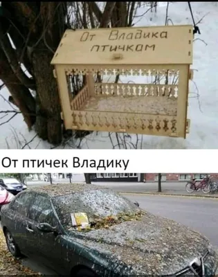 Пернатые символы наступающего Нового года обитают в зоопарке Владивостока -  PrimaMedia.ru