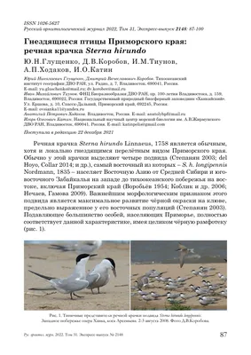 Один из символов Владивостока спасли в День города — Дальневосточные  ведомости