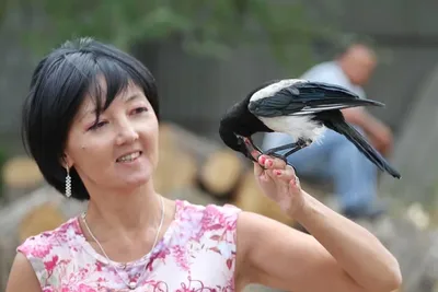 Клетка для птиц ЛОФТ-2 разборная PetTails, 2секции, шаг прута 12мм,  88х58х40см, изумрудная - отзывы покупателей на маркетплейсе Мегамаркет |  Артикул товара:600008827158