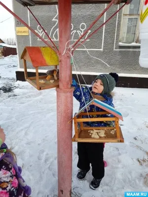 В Алтайском крае внезапно появилась новая птичка