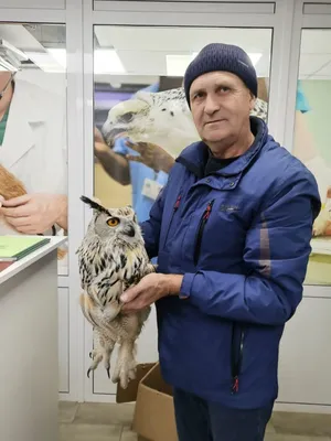 Птицы Алтая