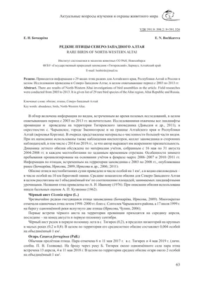 Результаты мечения хищных птиц цветными кольцами в 2012 г.