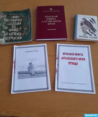 Прилетели и обалдели: чем подкормить птиц, вернувшихся с зимовки на Алтай |  Бийский рабочий | Дзен