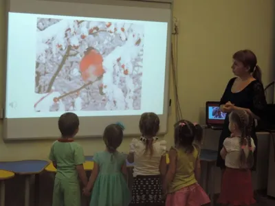 Рубиновогорлый колибри — Википедия