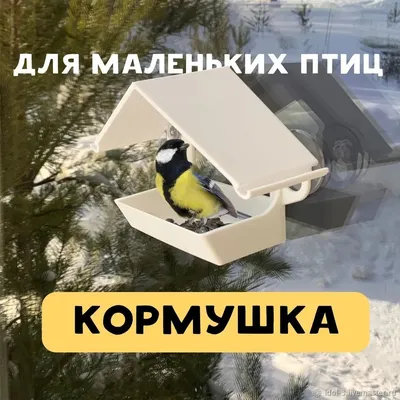 Calaméo - Буклет Как сделать кормушки для птиц