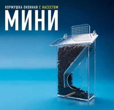 Птицы большие и маленькие - Фотогалерея - Международное сообщество  педагогов \"Я - Учитель!\"
