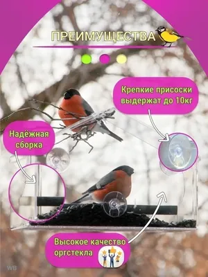 МОУВеневский ЦО 1 им. И.И.Мусатова on X: \"ОО «Худ-эст.разв.» Лепка во  второй младшей группе «Большие и маленькие птицы на кормушке». Воспитатель  Горошко А.С. (Бундурина,13) https://t.co/qrkPixac3p\" / X
