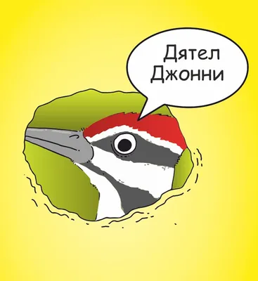 https://ru.dreamstime.com/%D0%BF%D1%82%D0%B8%D1%86%D0%B0-%D0%B4%D1%8F%D1%82%D0%B5%D0%BB-%D0%B1%D0%BE%D0%BB%D1%8C%D1%88%D0%BE%D0%B9-%D0%BF%D1%8F%D1%82%D0%BD%D0%B8%D1%81%D1%82%D1%8B%D0%B9-%D0%BD%D0%B0-%D0%B1%D0%B5%D0%BB%D0%BE%D0%BC-%D1%84%D0%BE%D0%BD%D0%B5-image159649235