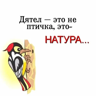 Симпатичный Дятел Сидит На Дереве С Червяком Смешные Птицы  Мультипликационный Персонаж Вектор Иллюстрация На Белом Фоне — стоковая  векторная графика и другие изображения на тему Векторная графика - iStock