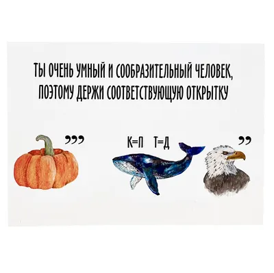 Развивающая книжка-картинка для детей Ребусы математические - купить с  доставкой в Ростове-на-Дону - STORUM
