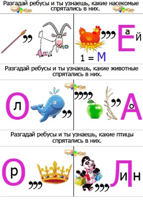 Симпатичный ребус, тест, активность, логический квест для детей. Забавная  головоломка с совой, слоном, фламинго, зеброй, рыбой . Векторное  изображение ©NadineVeresk 254245174