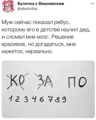 Загадки про птиц — загадки о птицах для детей с ответами