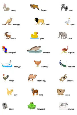 Ребусы для детей 5-6 лет - Альфикум
