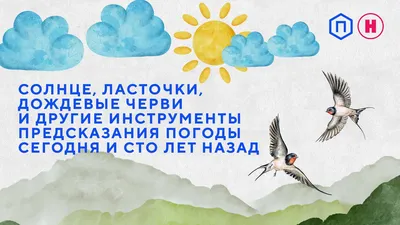 Энцилопедия \"Жизнь животных\" (А. Брем, 1958). Семейство ястребиные
