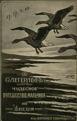 Клуб Людей и Птиц. ФОРУМЫ ptic.ru / Воспаление копчиковой железы у синицы