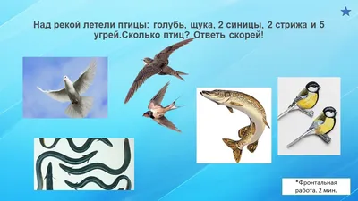 Урок-презентация на тему « Числовые выражения»