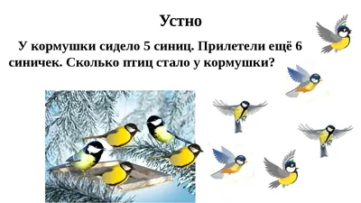 Один кузнечик стрекотал, Две бабочки летели, Гуляли вместе три кота,