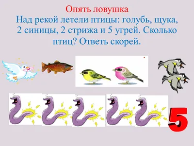 Веселая математика: отгадываем загадки и считаем! 🟡Сколько ушей у трёх  мышей? 🟢Сколько лап у двух.. | ВКонтакте