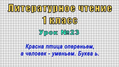 Бестиарий будущего - Птицы