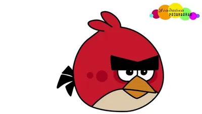 Новая игра про злых птиц: Angry Birds превратится в гонку - ФОКУС