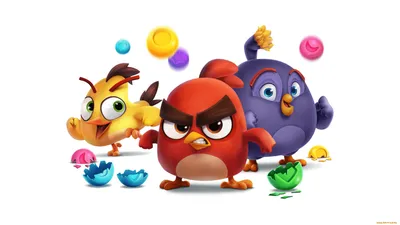 Существуют ли птицы из Angry Birds. Фотограф показал их на снимке