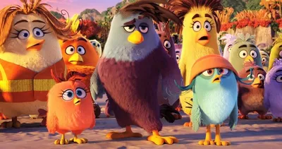 Обзор игры Angry Birds (Злые Птички) с Андромаликом (Вспоминаем 2009 Год) -  YouTube