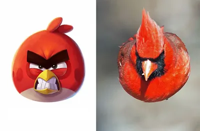 Настольная игра Angry Birds Rio купить