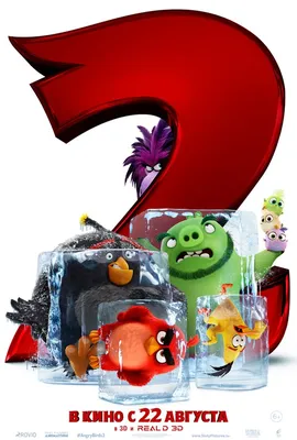 Красный кардинал: Та самая птичка из Angry Birds. И она реально оказалась  безумной! | Пикабу