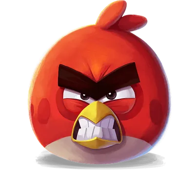 Angry Birds :: Игры :: птицы :: живность :: Природа :: Кликабельно -  JoyReactor