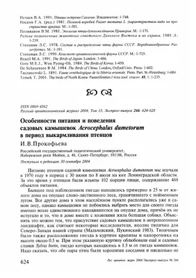 Садовая камышевка (Acrocephalus dumetorum) | Пикабу