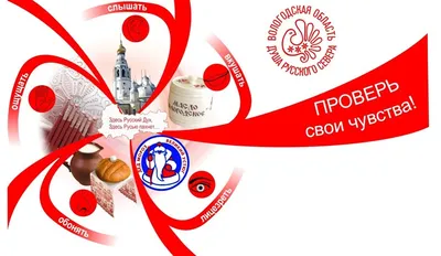 Вице-губернатор Вологодской области предложил, как защитить птицефабрики от  гриппа птиц | Ветеринария и жизнь