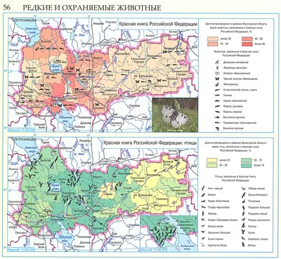 Фотовыставка Александра Староверова откроется в субботу, 18 февраля в  отделе природы.