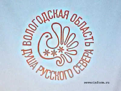 Настоящие орлы живут в Волгоградской области