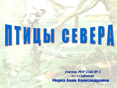 Материалы к урокам окружающего мира по теме \"Птицы Севера\"