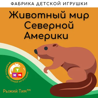 Евпаторийская здравница :: Новости » Экология » Год журавля: небо и земля