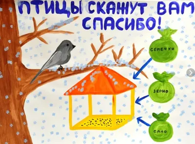 Рисунки - Покормите птиц зимой - Галерея - Любознайка - конкурсы для детей  и педагогов