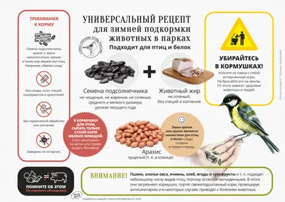 Работа — Покормите птиц зимой, автор Старцев Павел Артёмович