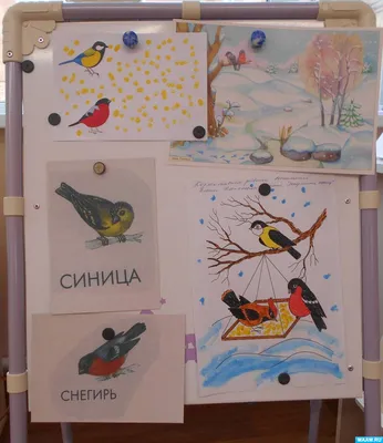 Покормите птиц зимой | Государственный природный заповедник Малая Сосьва