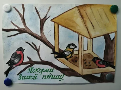 Выставка детских творческих работ «Зимующие птицы нашего края» - Сайт  национального парка \"Смоленское поозерье\"