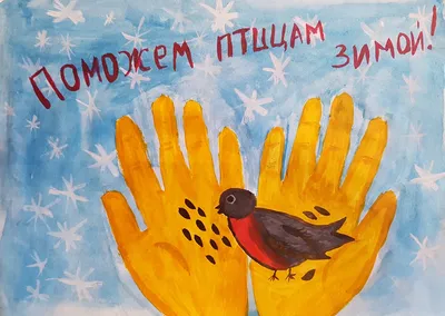 Итоги конкурса «Знакомьтесь, зимующие птицы Приамурья!». | 02.02.2023 | Зея  - БезФормата