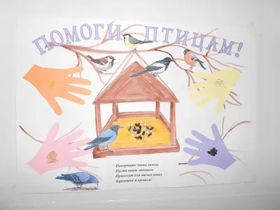 Выставка рисунков \"Покормите птиц зимой!\" - 23 Января 2017 - Зам. директора  по ВР МБОУ СОШ 15 Каляева Е. Л.