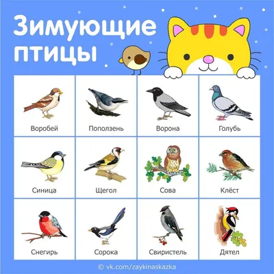 Рисунки - Покормите птиц зимой - Галерея - Любознайка - конкурсы для детей  и педагогов