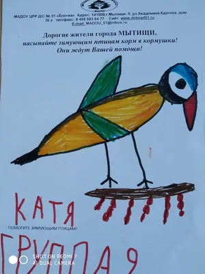 Чем можно кормить птиц зимой - новости ГородХ