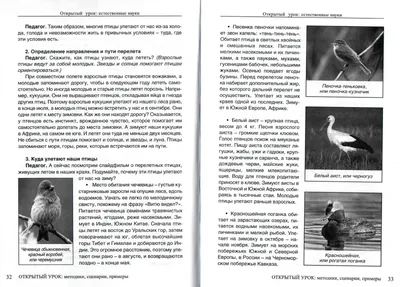 Луни Палеарктики by Anna Shestakova - Issuu