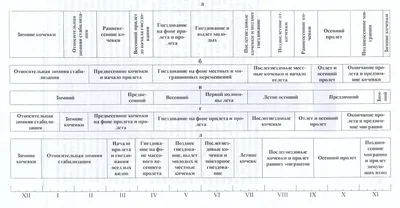 Птицы Эстонии