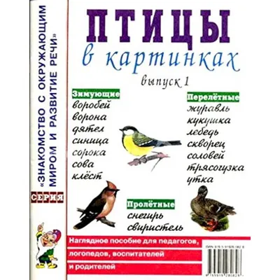 Фауна байкальской природной территории. Птицы | ИРКИПЕДИЯ - портал  Иркутской области: знания и новости
