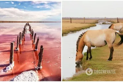 Лучшие места в Херсонской области, которые нужно посетить. Фото